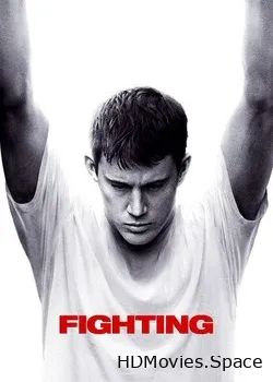 Бой без правил (2009)