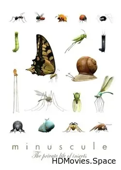 Букашки  (2006)