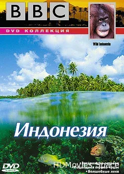 BBC: По странам и континентам. Индонезия (1999)