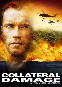 Возмещение ущерба (2001)