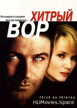 Хитрый вор (1998)