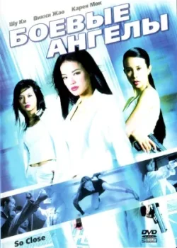 Боевые ангелы 2002