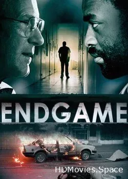 Конец игры (2009)