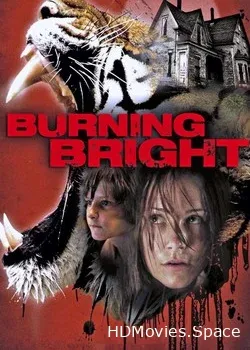 Во власти тигра (2010)