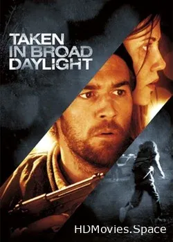 Похищена средь бела дня (2009)