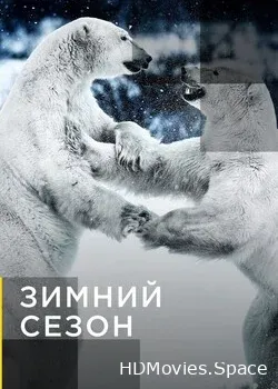 Зимний сезон (2011)