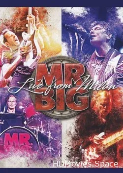 Mr. Big (2018)