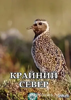 Крайний север (2020)