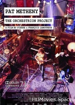 Pat Metheny (2010)