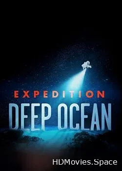 На дне океана (2021)