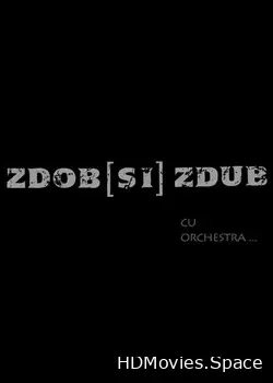 Zdob si Zdub and Symphony (2013)