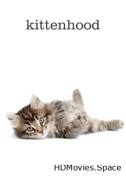Кошачье детство (2015)