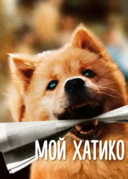 Мой Хатико 2023