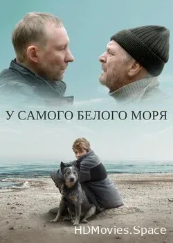 У самого Белого моря (2022)