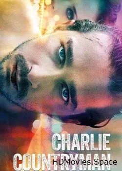 Опасная иллюзия (2013)