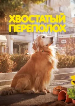 Хвостатый переполох 2024