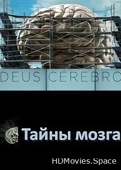 Тайны мозга (2021)