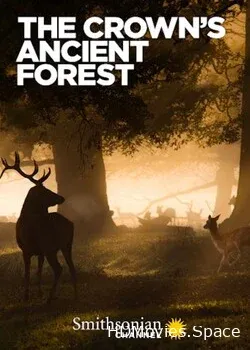 Королевский лес (2021)