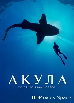 Акула со Стивом Бакшоллом (2021)