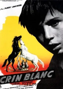 Белая грива: Дикая лошадь (1953)