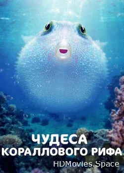 Чудеса кораллового рифа (2021)