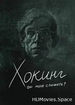 Хокинг: вы меня слышите? (2021)