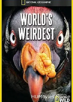 National Geographic. Самые странные в мире (2011)