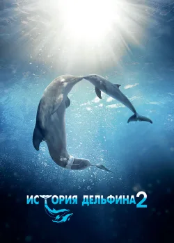 История дельфина 2 2014