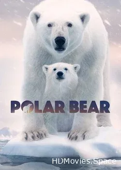 Полярный медведь (2022)