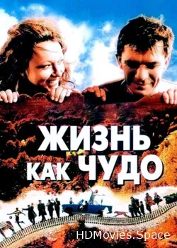 Жизнь как чудо (2004)