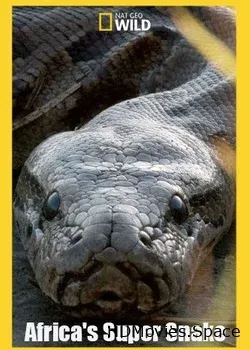 Nat Geo Wild: Африканская суперзмея (2017)