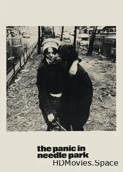 Паника в Нидл-парке (1971)