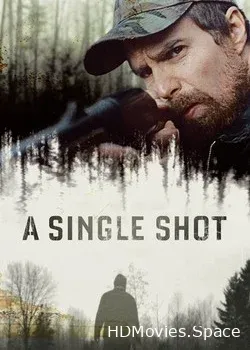 Единственный выстрел (2013)
