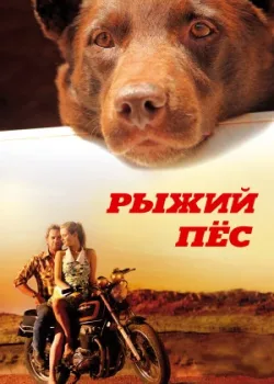 Рыжий пес 2011