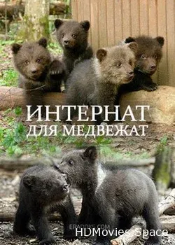 Интернат для медвежат (2015)