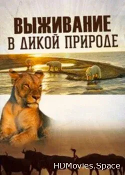 Выживание в дикой природе (2015)