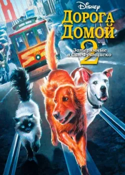 Дорога домой 2: Затерянные в Сан-Франциско 1996