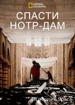 Спасти Нотр-Дам (2020)