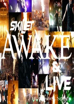 Skillet (2013)
