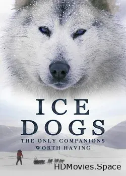 Собаки во льдах (2016)