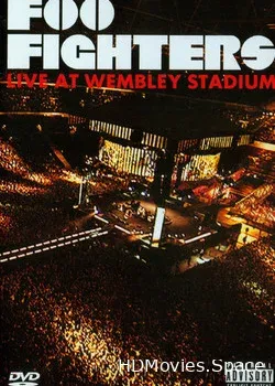 Foo Fighters (2008)