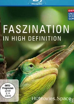 Очарование в HD (2010)