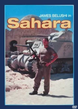 Сахара 1995