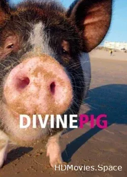 Священная свинья (2010)