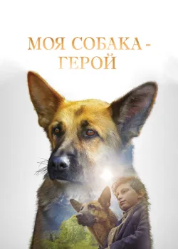 Моя собака — герой 2018
