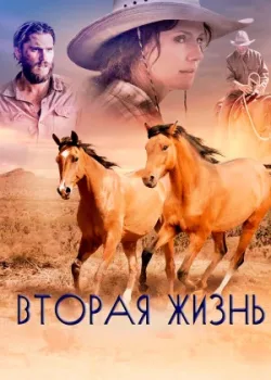 Вторая жизнь 2017