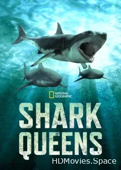 NG. Владычицы морей (2022)