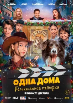 Одна дома: Великолепная пятерка 2024