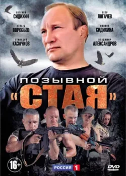 Позывной «Стая» 2013