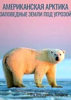 Американская Арктика – Заповедные земли под угрозой (2020)